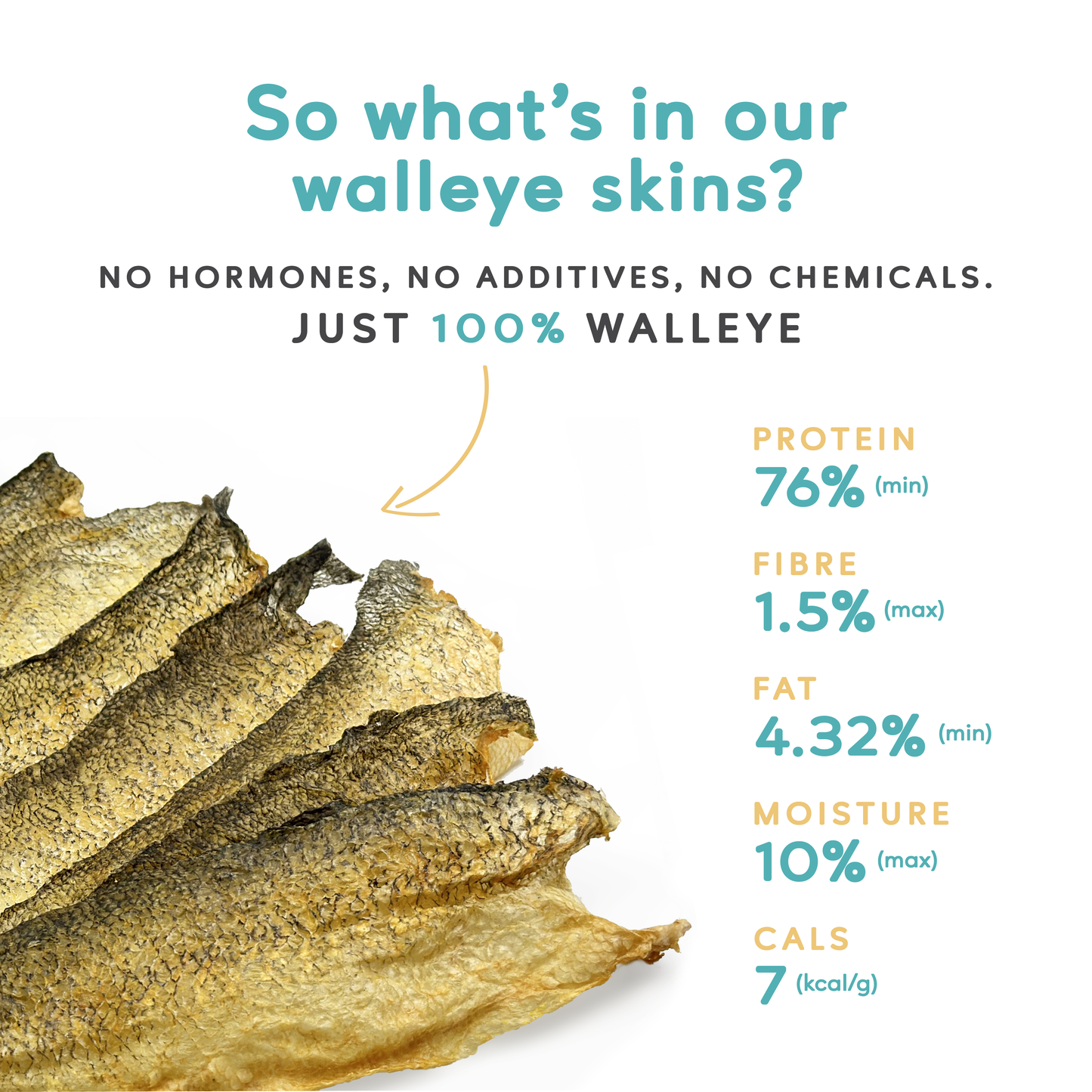 Walleye Skins