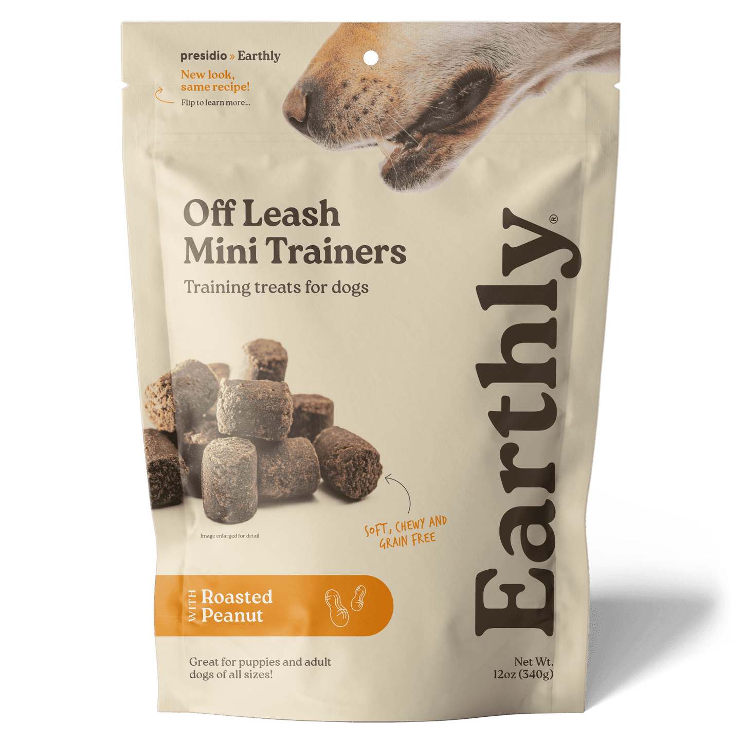 Off Leash Mini Trainers