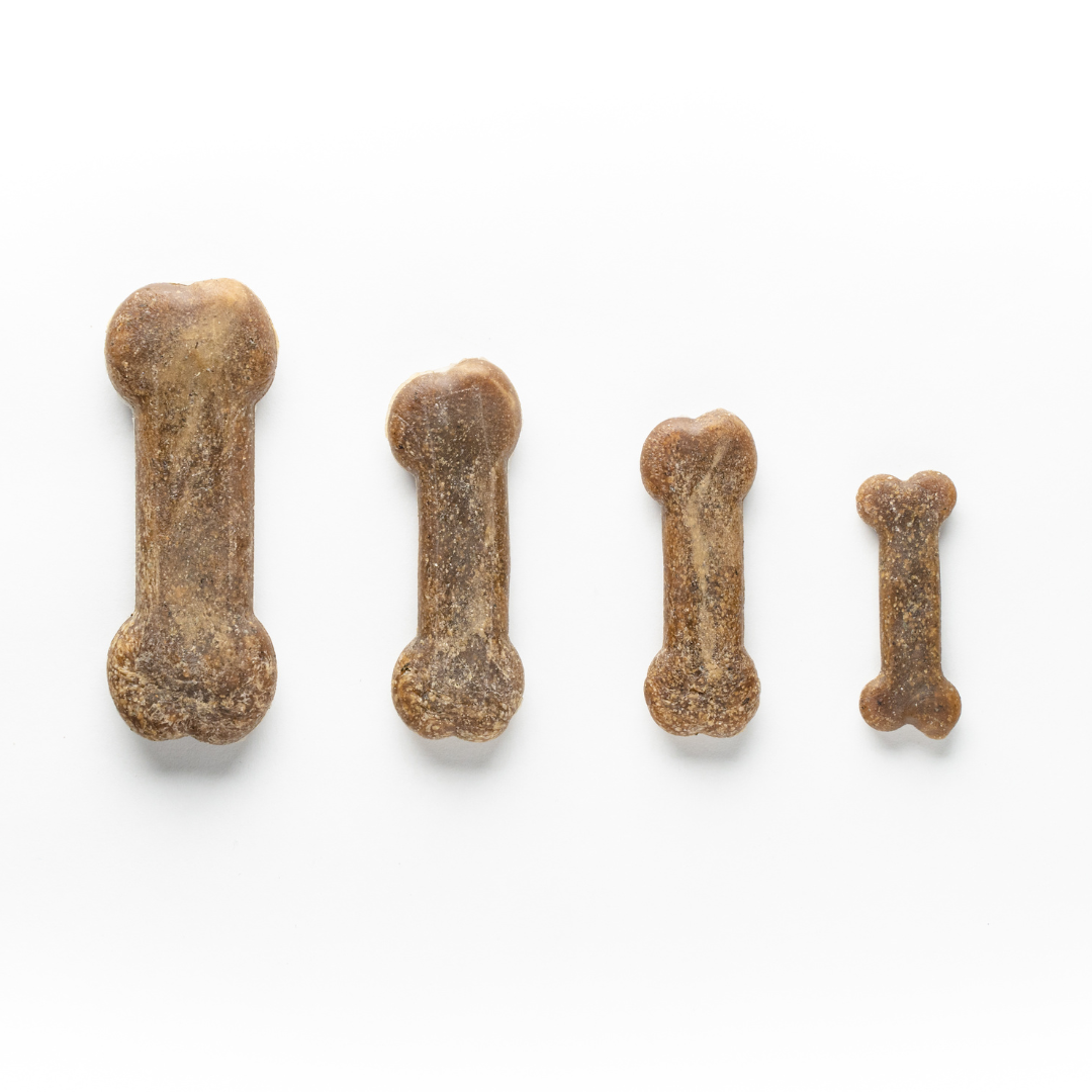 Earthbones Dental Chews For Dogs