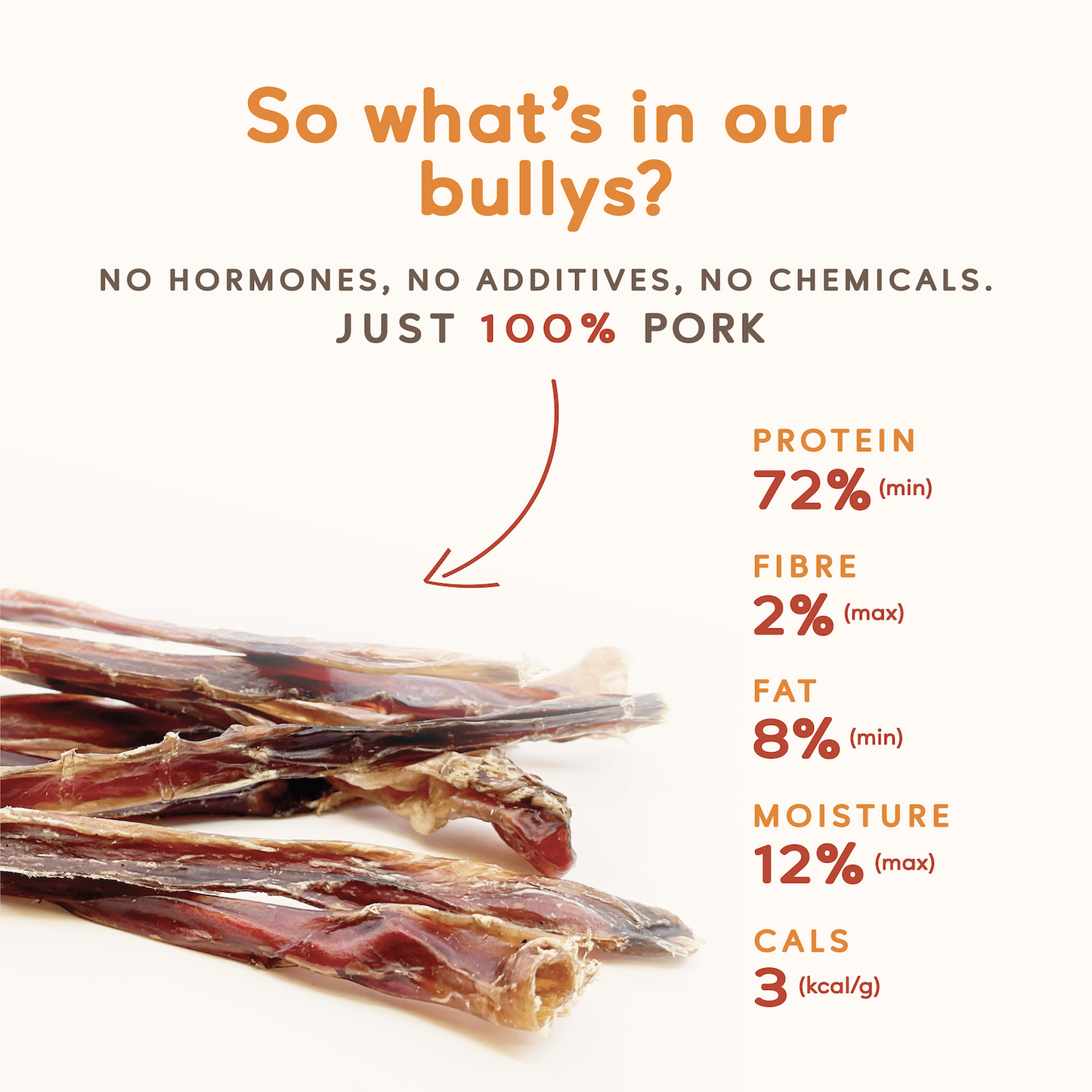 Mini Pork Bullys For Dogs of All Sizes