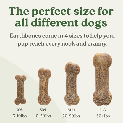 Earthbones Dental Chews For Dogs