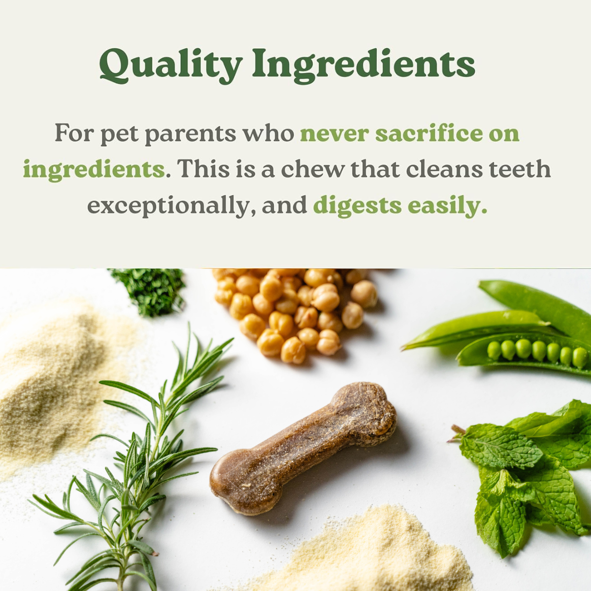 Earthbones Dental Chews For Dogs