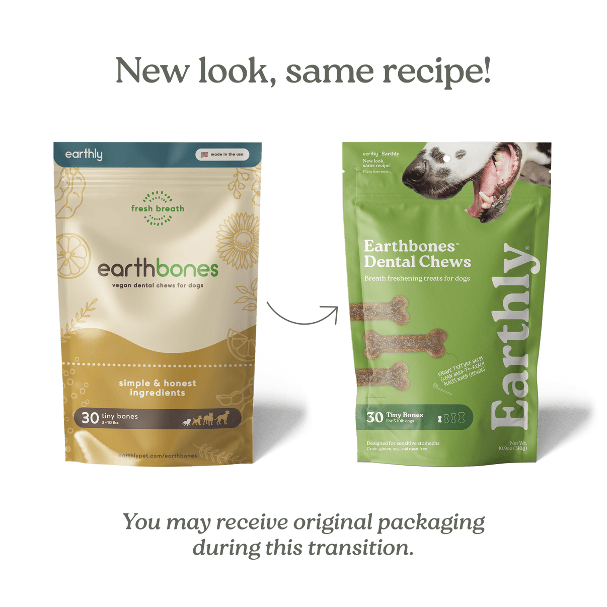 Earthbones Dental Chews For Dogs 20-50Lbs, 30 Bones : Pet Supplies