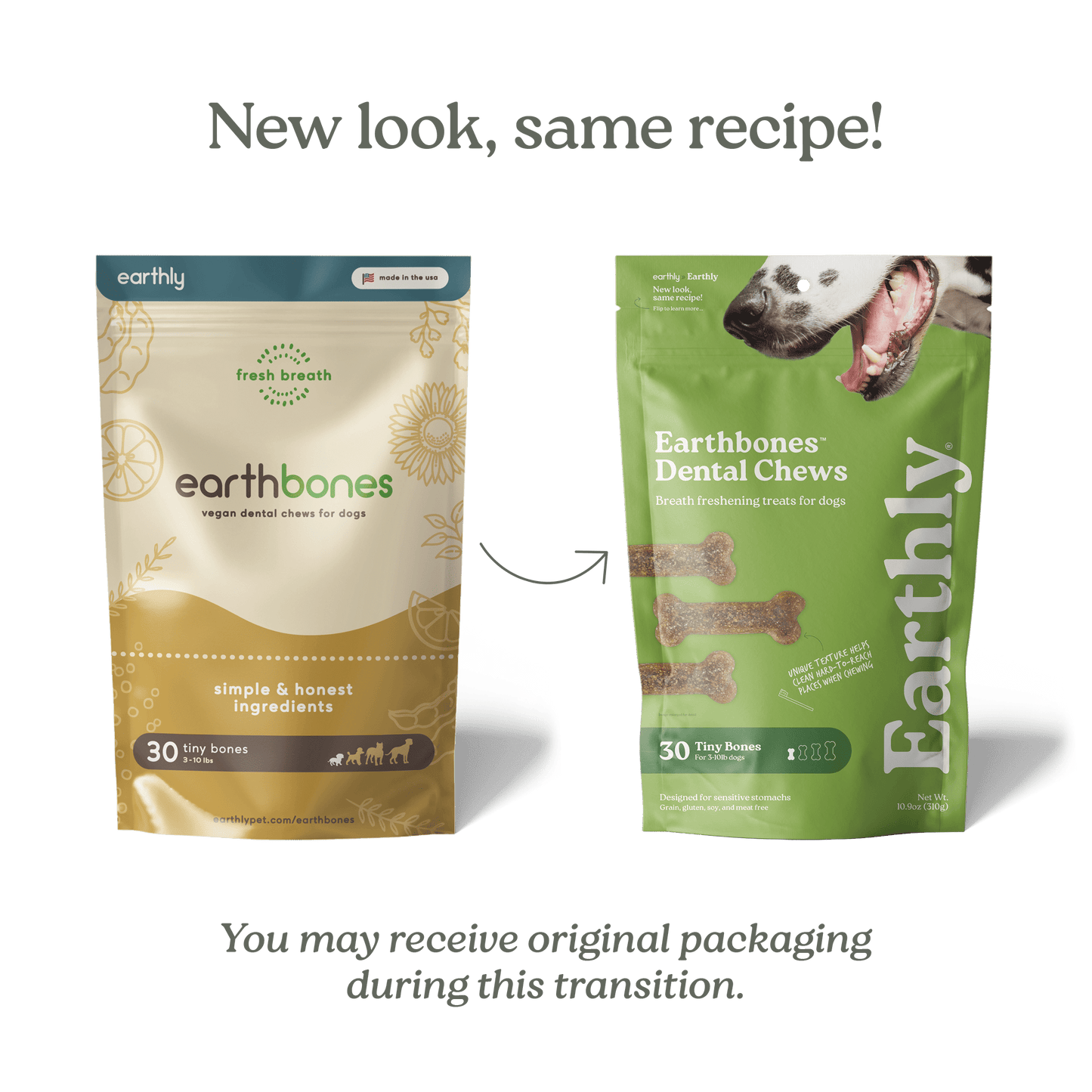 Earthbones Dental Chews For Dogs