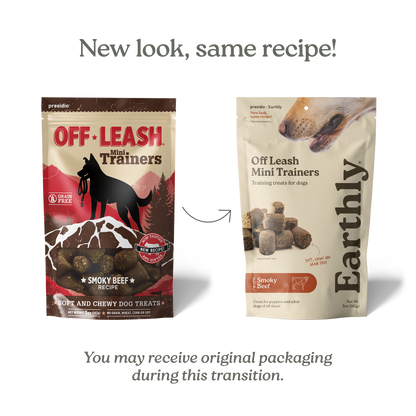 Off Leash Mini Trainers