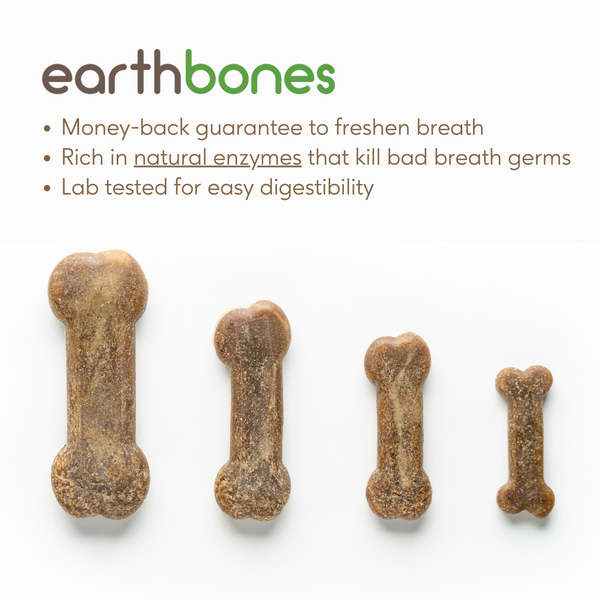 Earthbones Dental Chews For Dogs Earthly Pet
