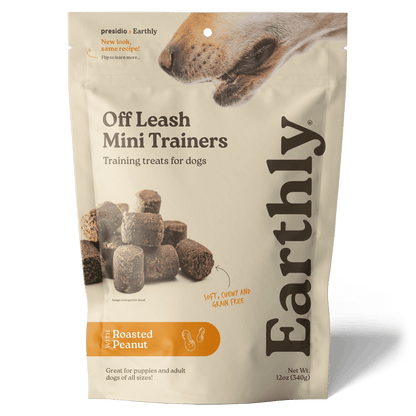 Off Leash Mini Trainers