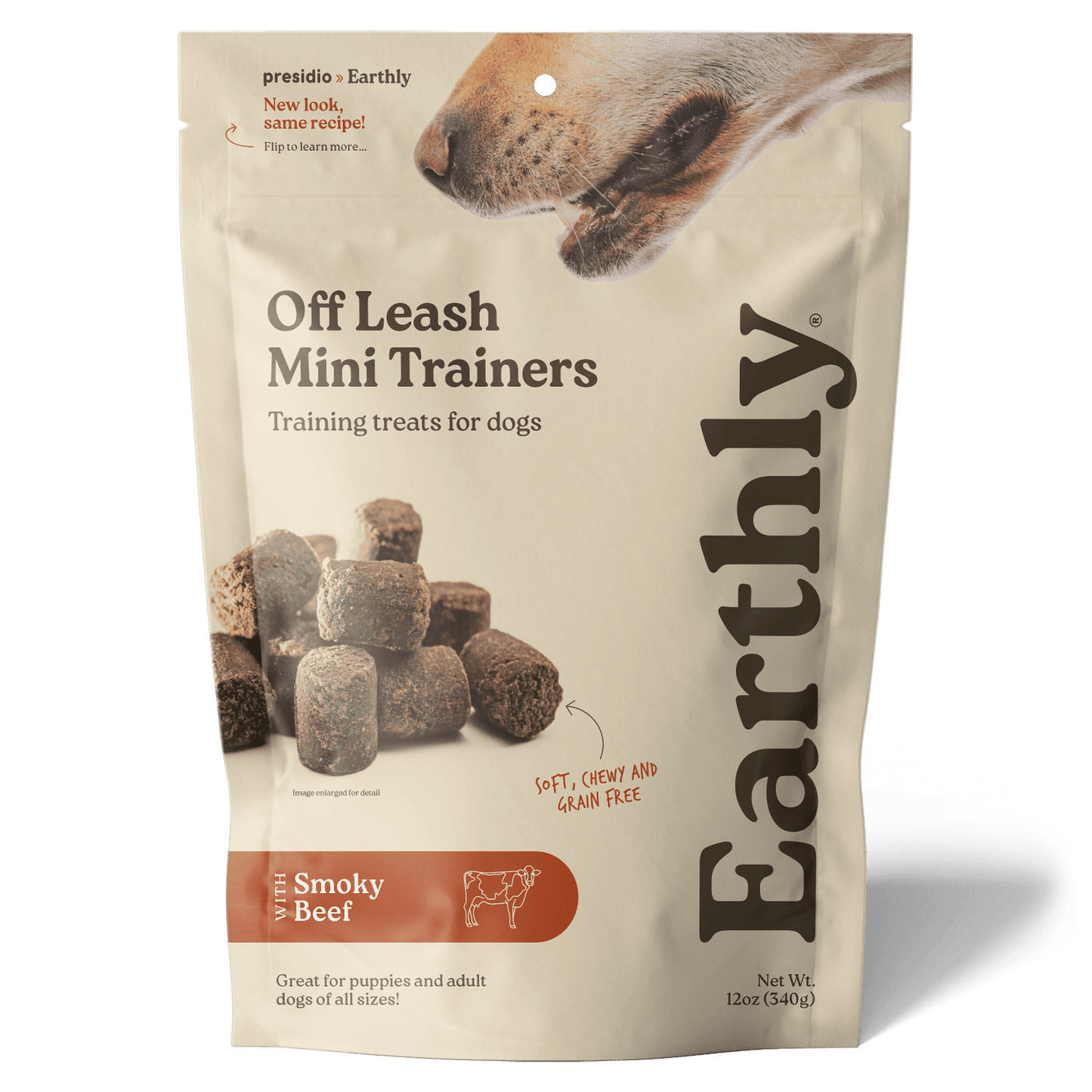 Off Leash Mini Trainers