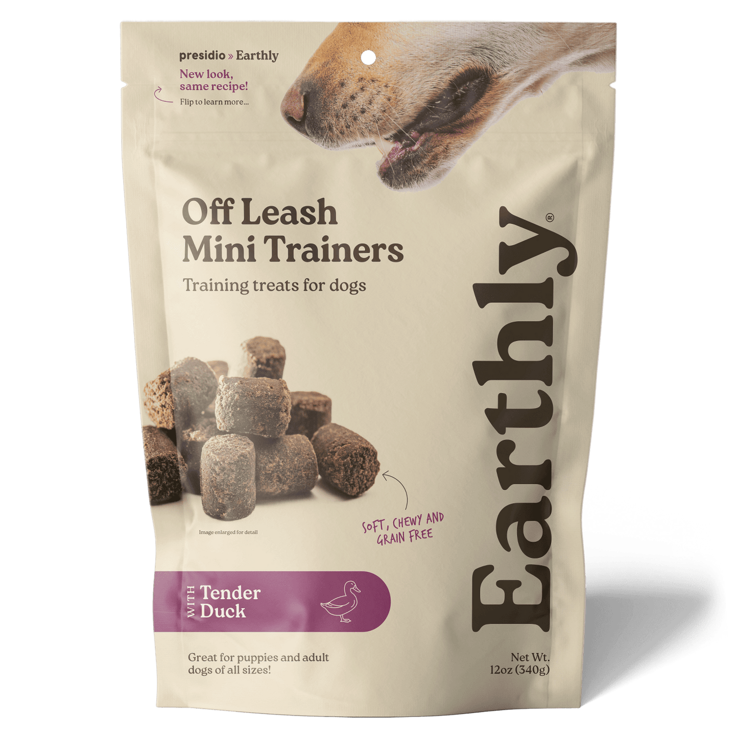 Off Leash Mini Trainers