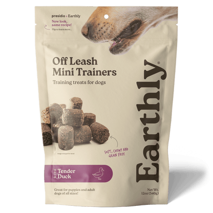 Off Leash Mini Trainers