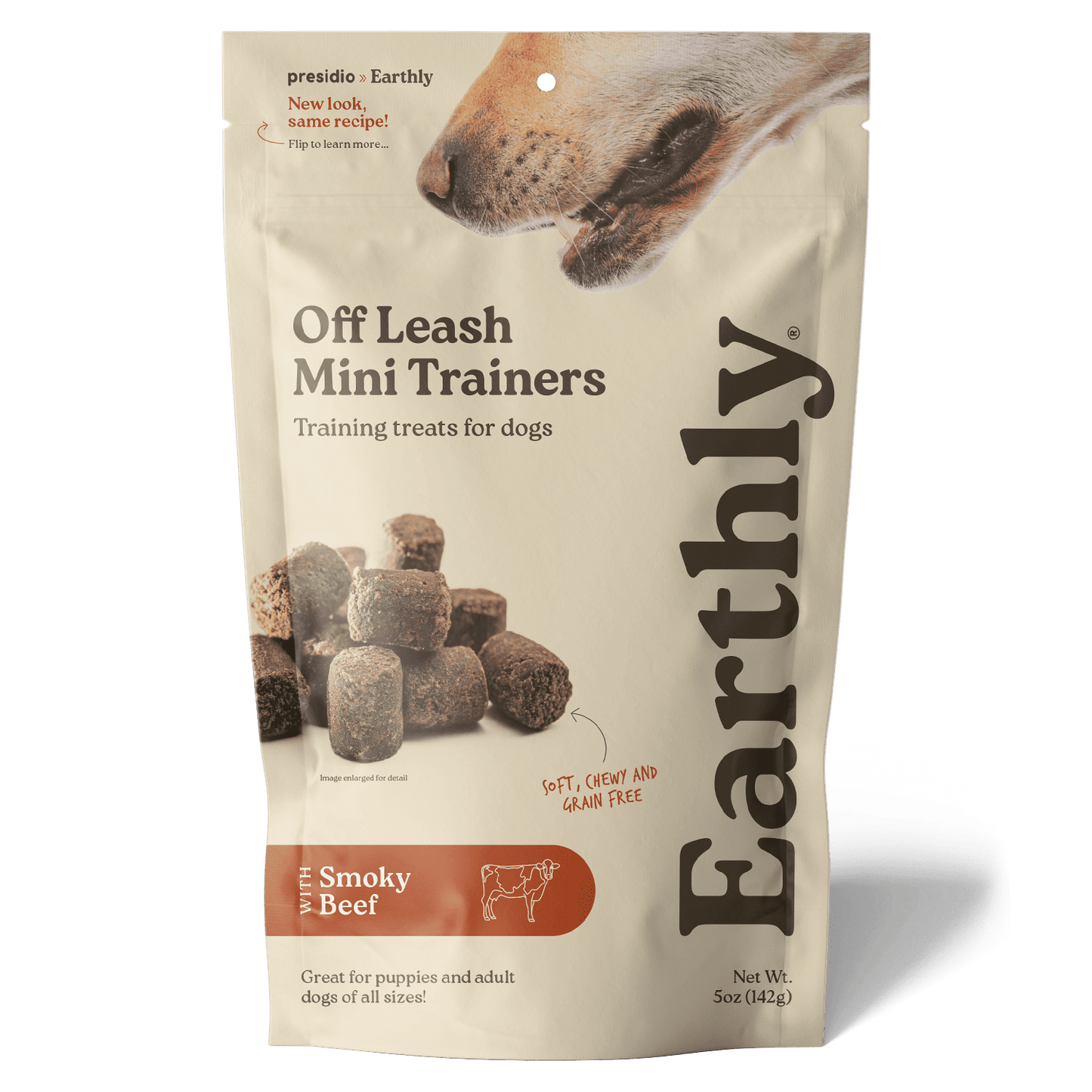 Off Leash Mini Trainers