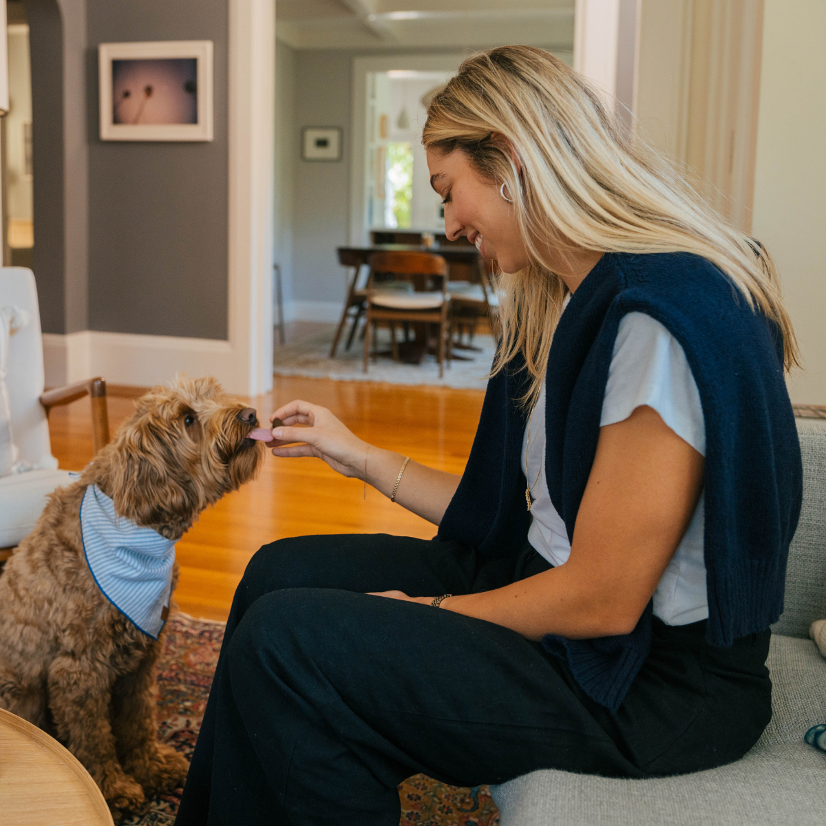 Off Leash Mini Trainers