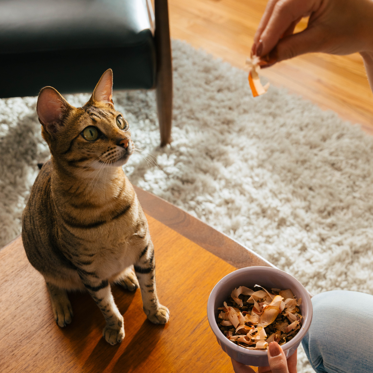 Cat Sushi Bonito Flakes