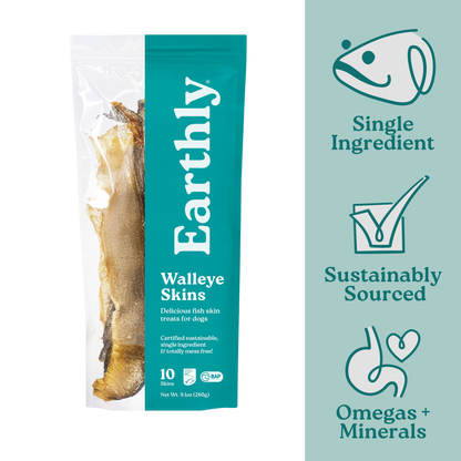 Walleye Skins
