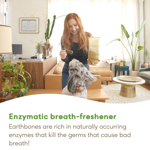 Earthbones Dental Chews For Dogs Earthly Pet