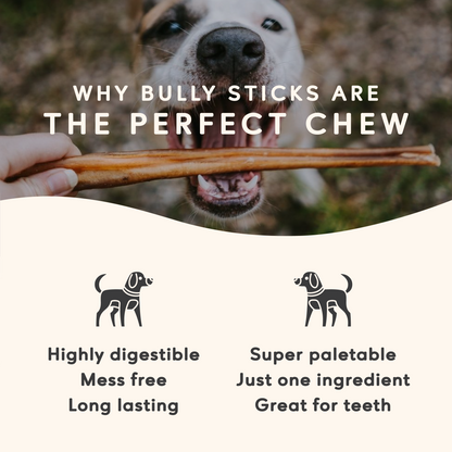 Maplewood Smoked Bullys