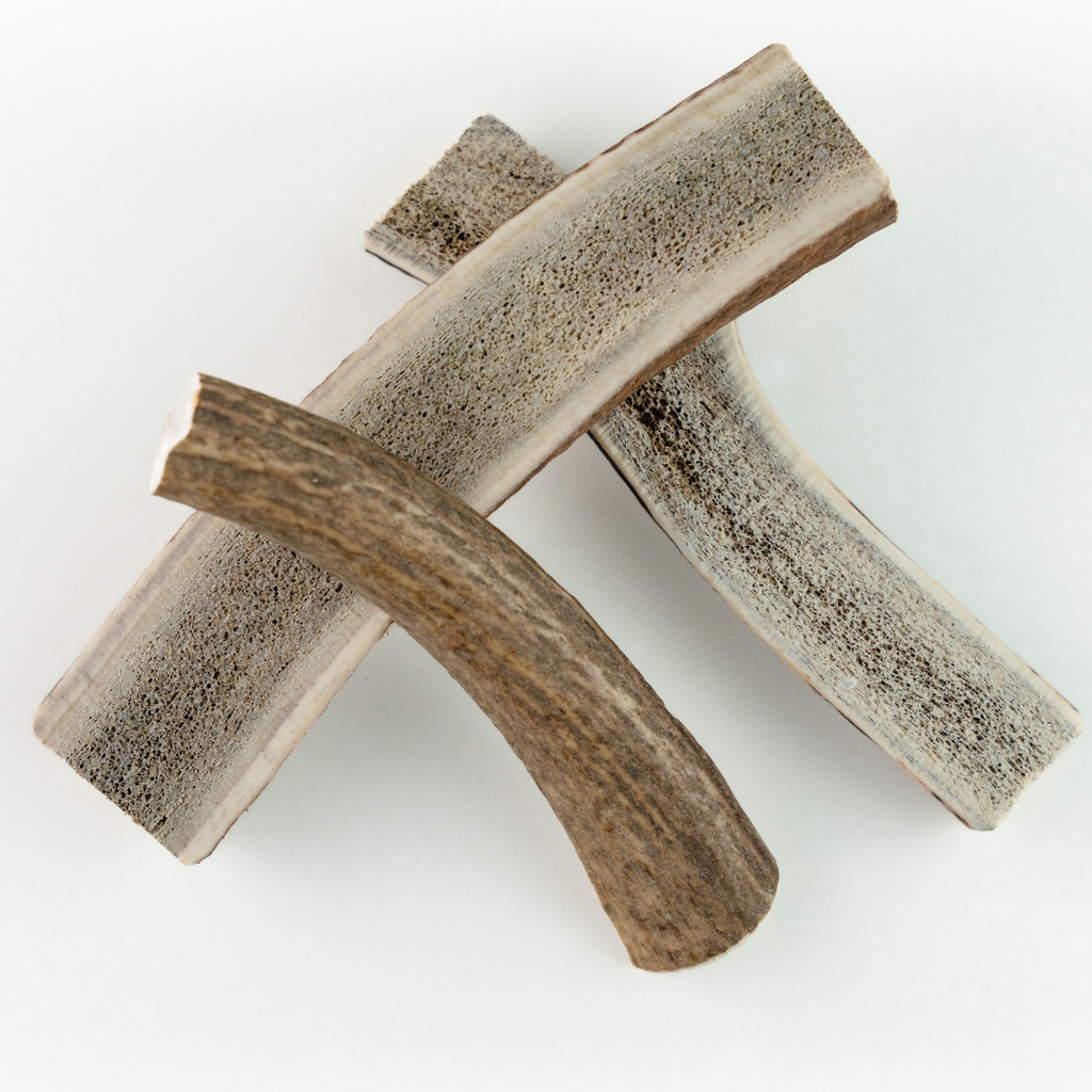 Earthbones Dental Chews For Dogs Earthly Pet